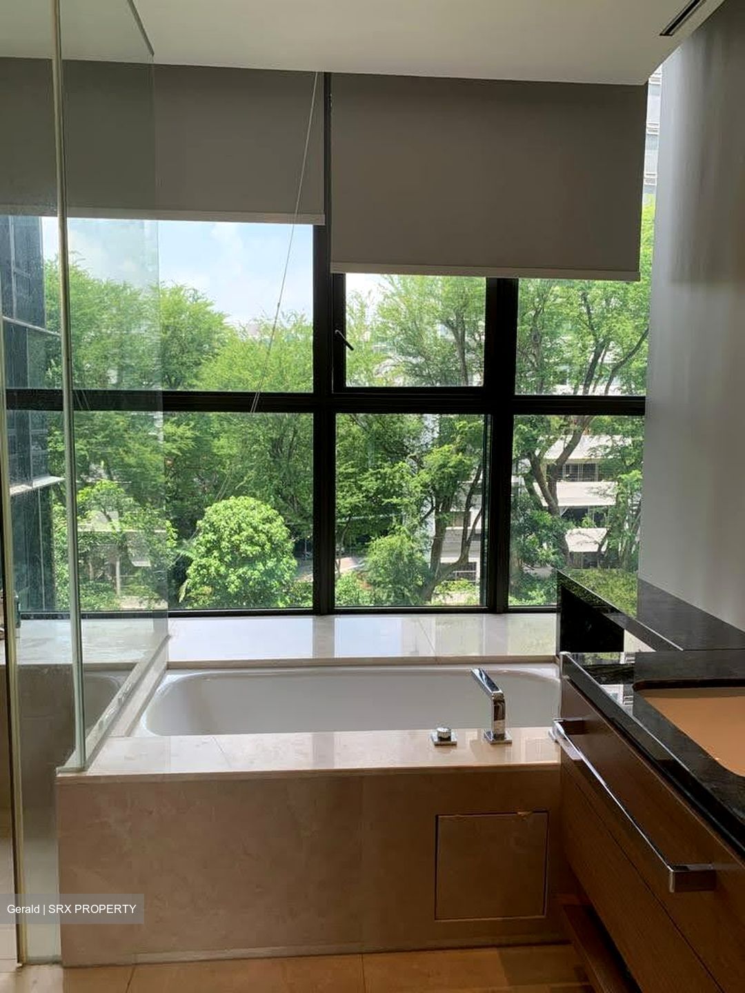 One Balmoral (D10), Condominium #541993341